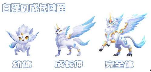 白泽最新爆料新闻,揭秘娱乐圈最新热点事件内幕